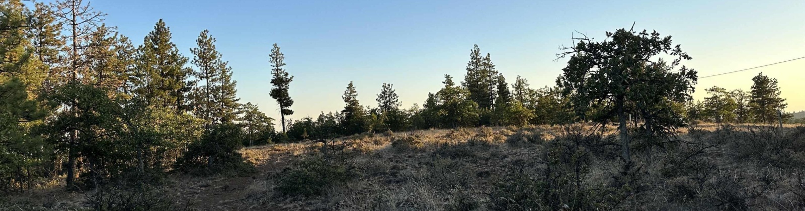 Jensen Quarry Rd, Goldendale, Washington 98620, ,Residential,For Sale,Jensen Quarry Rd,274885