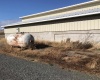 Lateral B Road, Wapato, Washington 98951-0000, ,Orchard,For Sale,Lateral B Road,280153